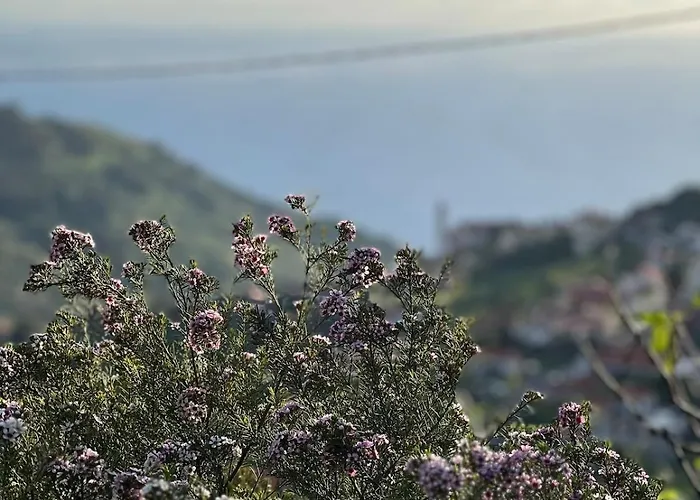 Casa Morena - Private Tropical Oasis Σπίτι διακοπών Campanário