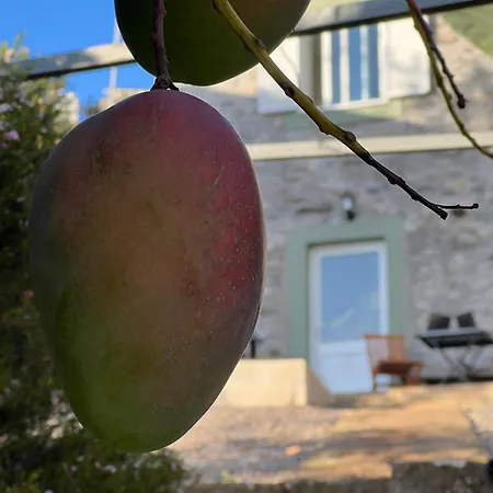 Casa Morena - Private Tropical Oasis *