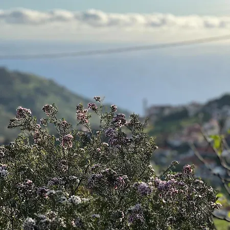 Casa Morena - Private Tropical Oasis Hébergement de vacances Campanário